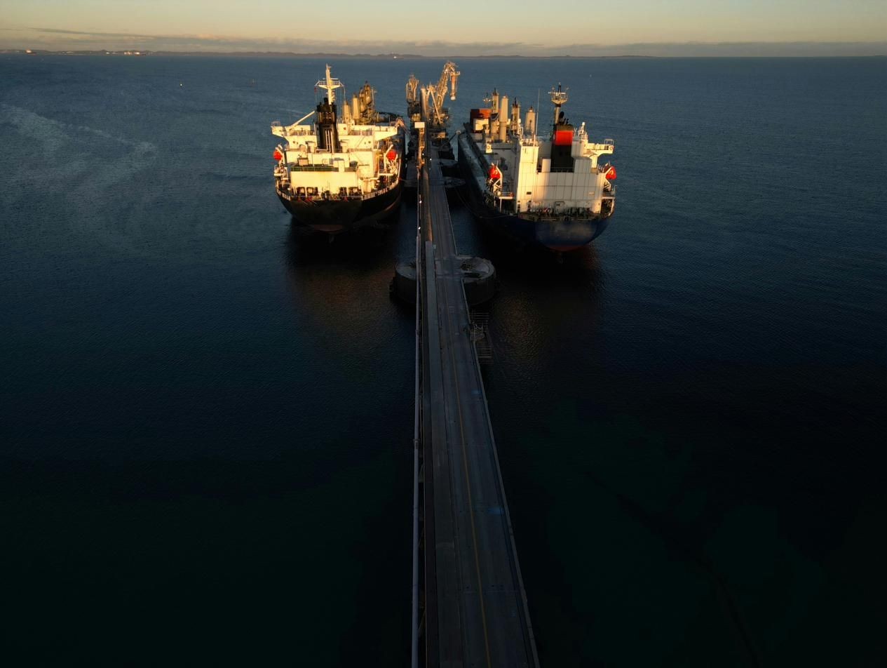 Bulk export terminal